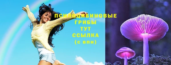 прущие крисы Няндома