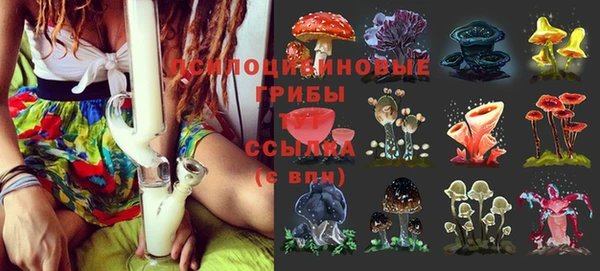 герыч Осташков